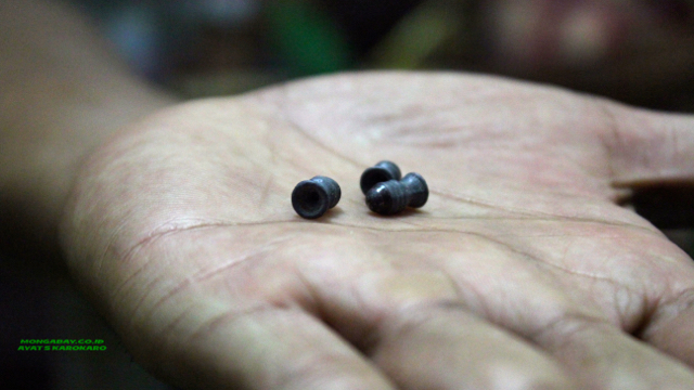 Peluru yang disita dari Rudi, pemburu bersenapan. Foto: Ayat S Karokaro