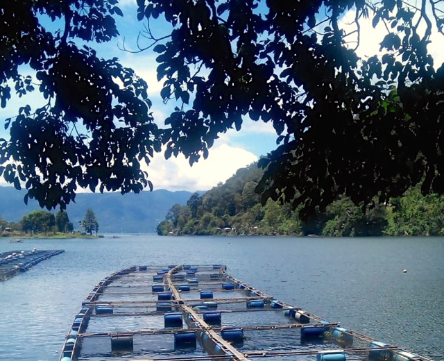 Keindahan danau ini mulai hilang...Foto: Vinolia