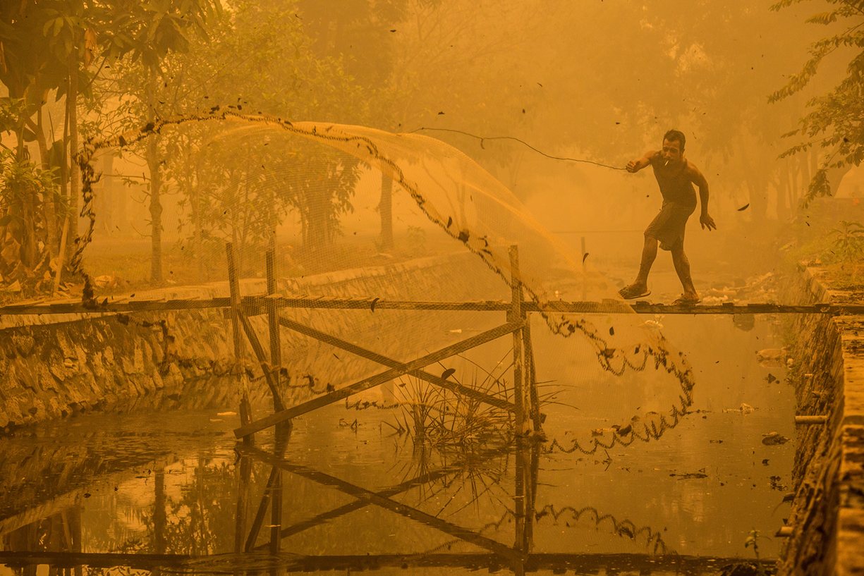 Foto: Björn Vaughn / Environmental Photographer of the Year 2016