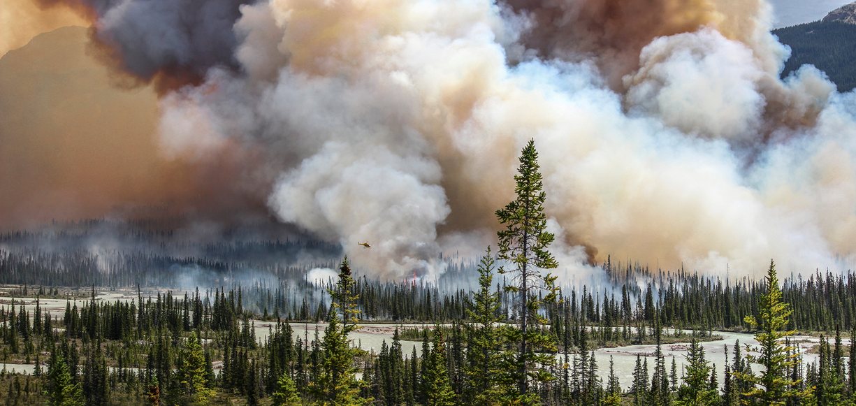 Wildfire. Foto: Sara Lindström / Environmental Photographer of the Year 2016 