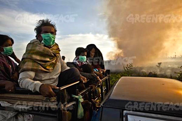 Asap kebakaran hutan dan lahan 2015, menyebabkan putaan orang terpapar. Riset terbaru dari Universitas Harvard dan Universitas Columbia, menyebutkan, diperkirakan 100 ribuan lebih kematian dini karena terpapar asap berbahaya ini. Foto: Greenpeace