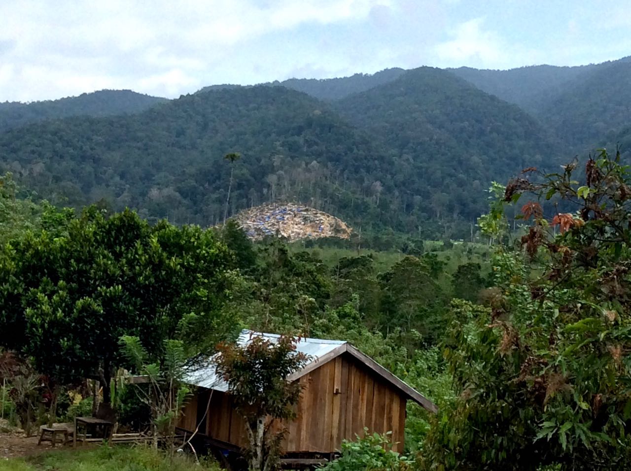 Area Dongi-Dongi tampak dari kejauhan, meninggalkan bekas area pertambangan. Foto: Minnie Rivai.