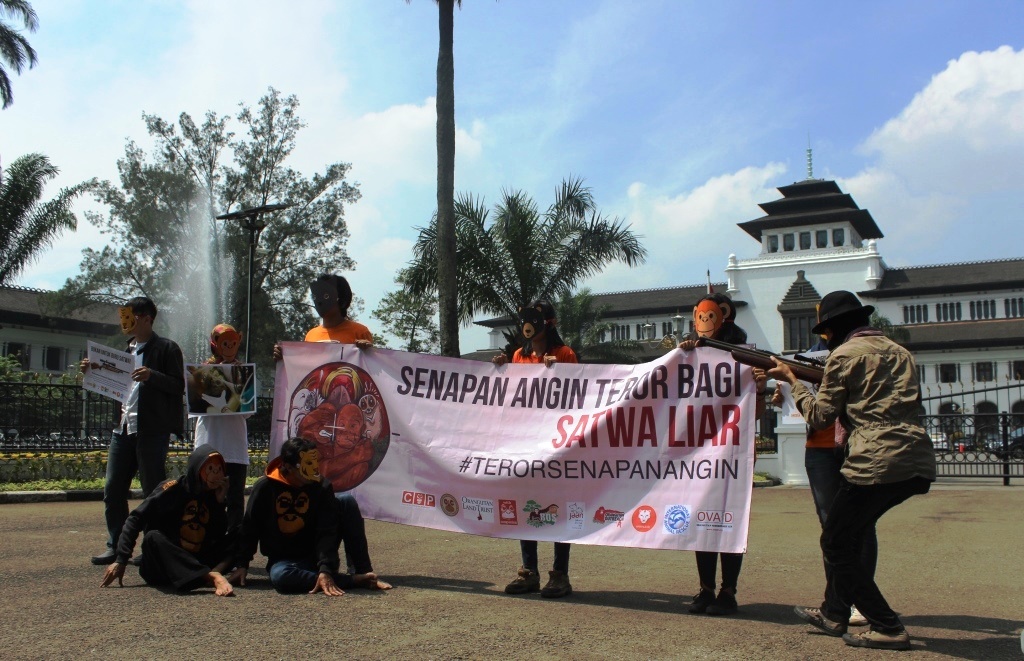 Pemerhati satwa dari Centre for Orangutan Protection (COP) melakukan kampanye tentang pengawasan penggunaan senapan angin di depan Gedung Sate, Jalan Diponegoro, Bandung, Jawa Barat, Rabu (14/9/2016). Kampanye digelar serentak di sepuluh kota di Indonesia untuk perlindungan satwa langka dari penyalahgunaan senapan angin. Foto : Donny Iqbal