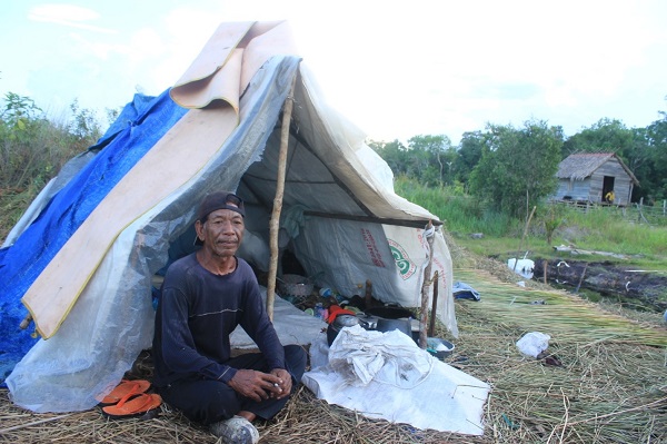 Seorang pencari purun di Lebak Purun Arang Setambun. Mereka bermalam di lahan gambut minimal tiga bulan untuk mengambil purun. Foto: Taufik Wijaya