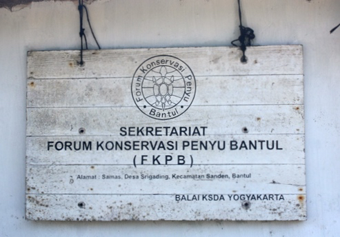 Forum Konservasi Penyu Bantul. Foto: Tommy Apriando