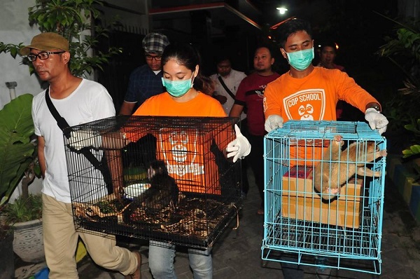 Perburuan primata di Jawa Timur ini marak, pengawasan harus ditingkatkan dan hukuman bagi para pelaku harus lebih keras. Foto: COP