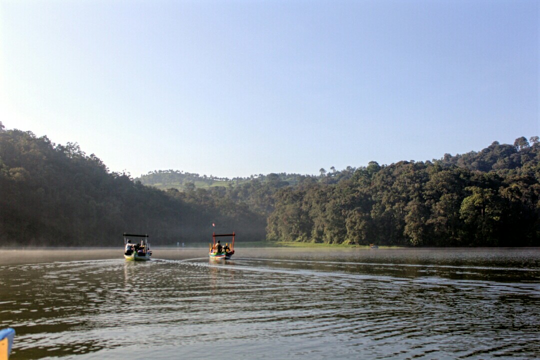 Situ Patenggang, Rancabali, Kabupaten Bandung, Jawa Barat, merupakan salah satu kawasan konservasi primata, seperti lutung, owa jawa dan surili. Foto: Donny Iqbal