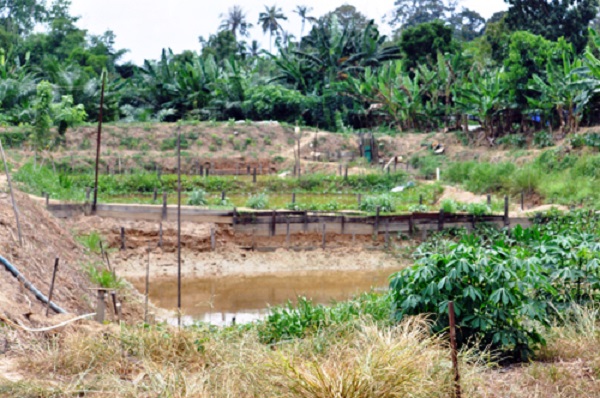 Kolam ikan warga yang tidak bisa digunakan lagi karena air sungai telah tercemar. Foto: Yustinus S. Hardjanto