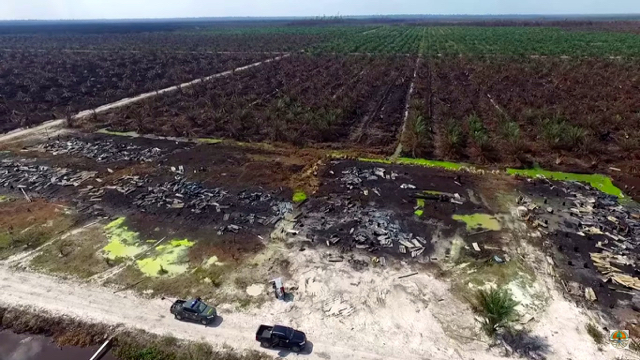 Kebun dan barak karyawan sawit yang terbakar hingga mereka mengungsi. Foto: KHLK