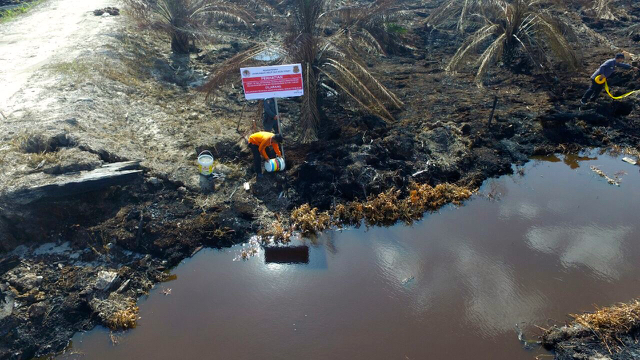 Plang segel tim Penegakan Hukum KLHK yang dipaksa dicabut. Foto diambil pakai drone