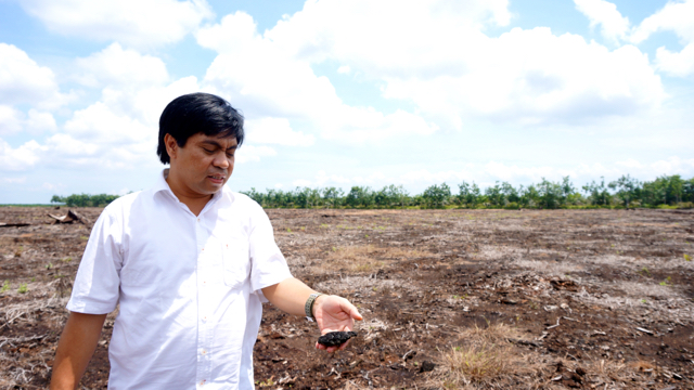 Haris Gunawan, deputi BRG di wilayah bekas terbakar di Kecamatan Minang Kampai, Kelurahan Teluk Makmur, Riau. Luasan mencapai 200 hektar. Foto: Lusia Arumingtyas