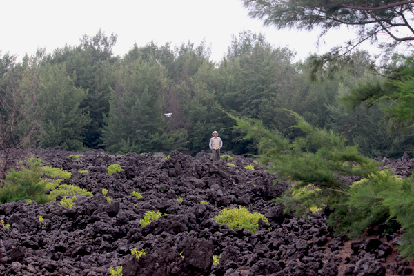 Bebatuan keras yang merupakan hasil erupsi anak Krakatau beberapa waktu lalu. Foto: Rahmadi Rahmad