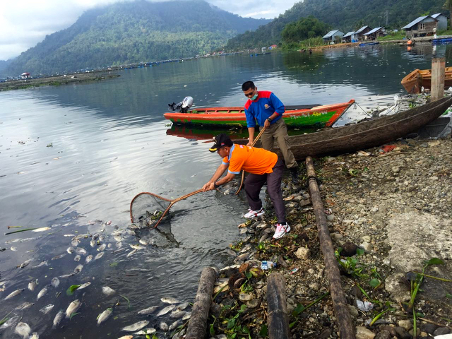 Tim SaveManinjau membersihkan danau. Foto: Vinolia
