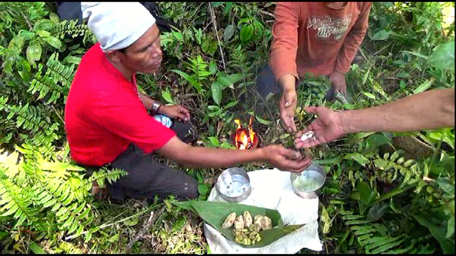 Persiapan ritual menyadap. Foto: Ayat S Karokaro