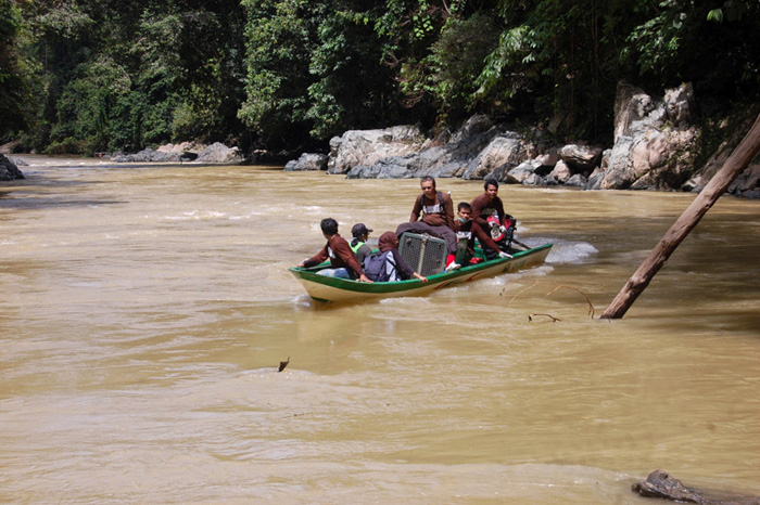 Perjalanan menuju Hutan Kehje Sewen, yang merupakan hutan alami dan ideal untuk kehidupan orangutan yang dilepasliarkan. Foto: BOSF
