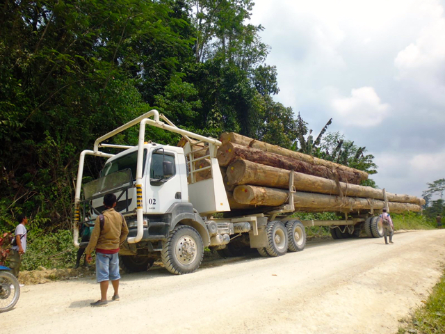Kayu log perusahaan melintas di pemukiman. Foto: YCMM 