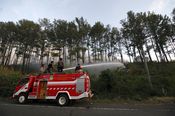 Tahura Pocut Meurah Intan berjarak 70 kilometer dari Banda Aceh. Hutan ini merupakan habitat beragam fauna dan didominasi pohon pinus dan akasia. Foto: Junaidi Hanafiah