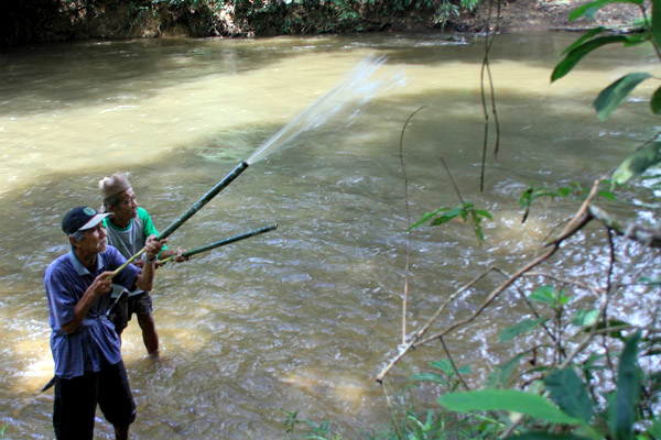 Masyarakat memanfaatkan tumbuhan lokal seperti bambu untuk dijadikan alat pemadam kebakaran. Foto: Andi Fachrizal