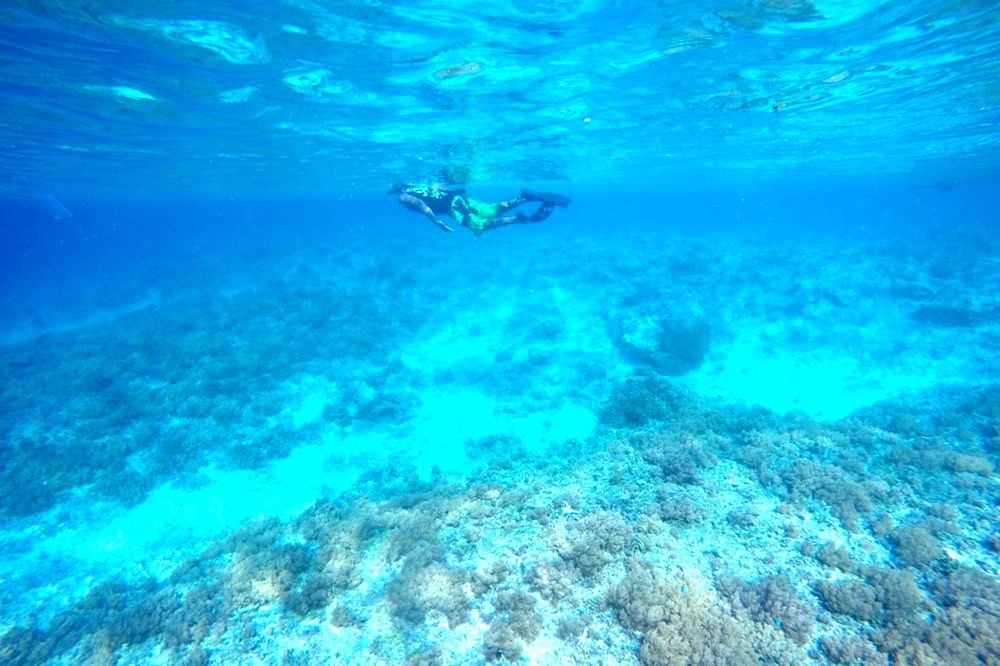 Seorang pemandu snorkeling menunjukkan kondisi terumbu karang yang sudah rusak di Gili Trawangan, NTB. Foto : Anton Muhajir