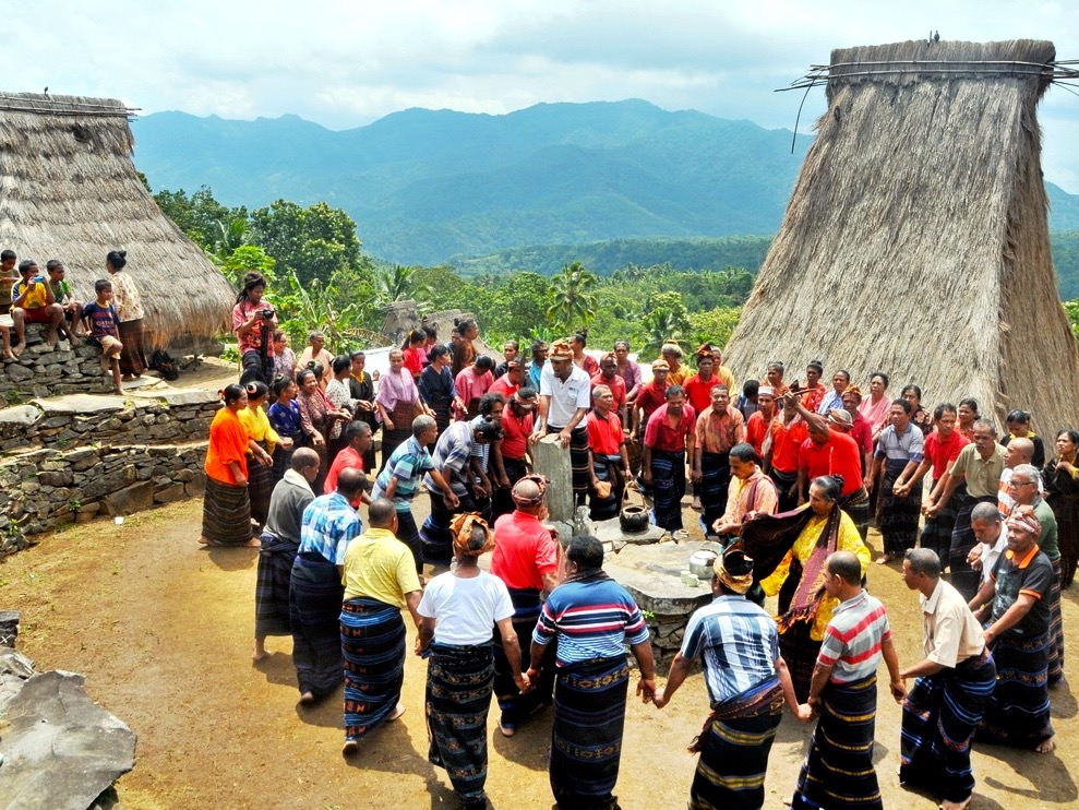 Komunitas adat Saga menari Gawi bersama saat ritual penutup Nggua di kampung adat. Foto: Ebed de Rosary