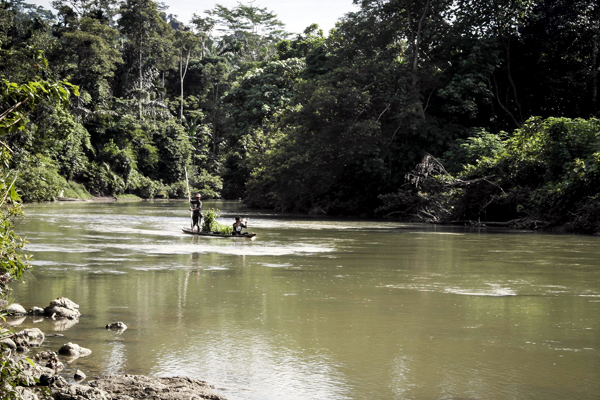 Hutan yang terjaga akan memberikan manfaat luar biasa bagi kehidupan manusia. Foto: Danurfan/Global March for Elephants and Rhino Aceh 2016