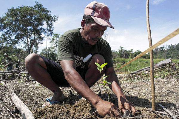 Menanam pohon di arela hutan yang rusak demi terjaganya hutan Aceh yang rusak akibat perambahan untuk perkebunan juga pembalakan liar. Foto: Danurfan/Global March for Elephants and Rhino Aceh 2016