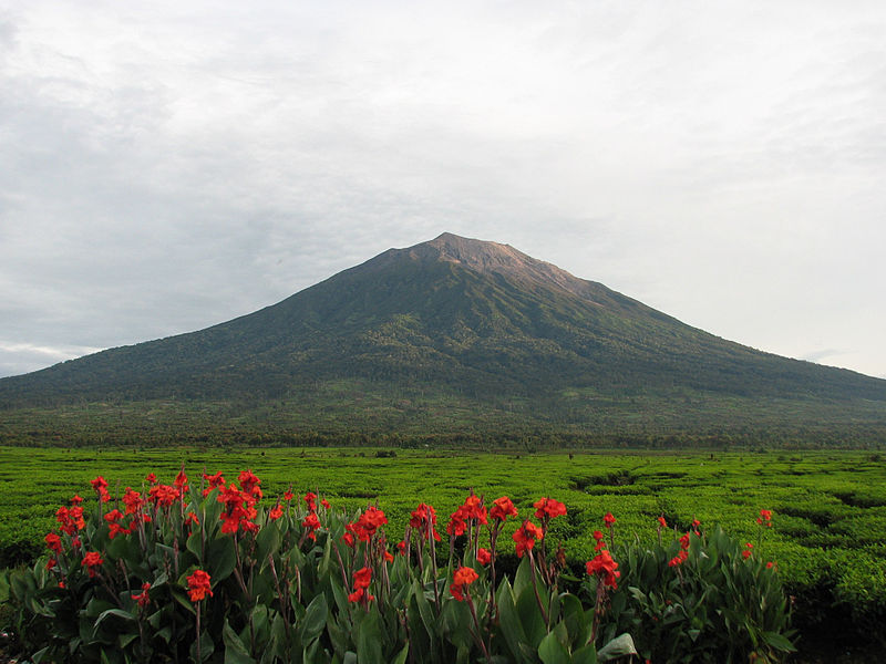 Gunung Kerinci yang begitu dikenal di kawasan Taman Nasional Kerinci Seblat. Sumber: Wikimedia Commons