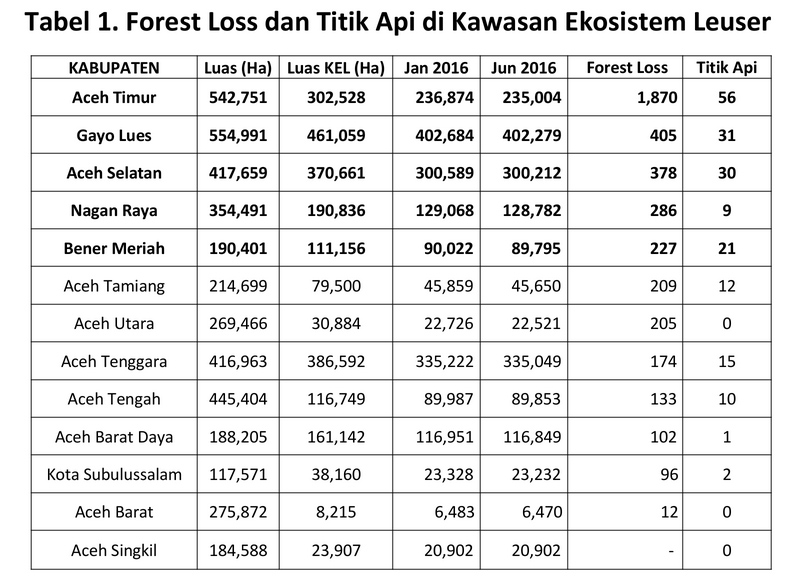 Luasan hutan yang berkurang di KEL beserta sebaran titik api yang terpantau. Sumber: HAkA