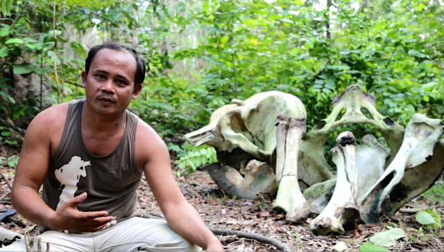 Mulkan, saat memberitaukan temuan tulang belulang gajah. Foto: Perkumpulan Hijau