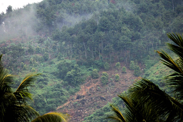 Sebagian sisi bukit yang gundul ini dipastikan mengancam ketersediaan sumber mata air yang ada. Foto: Petrus Riski