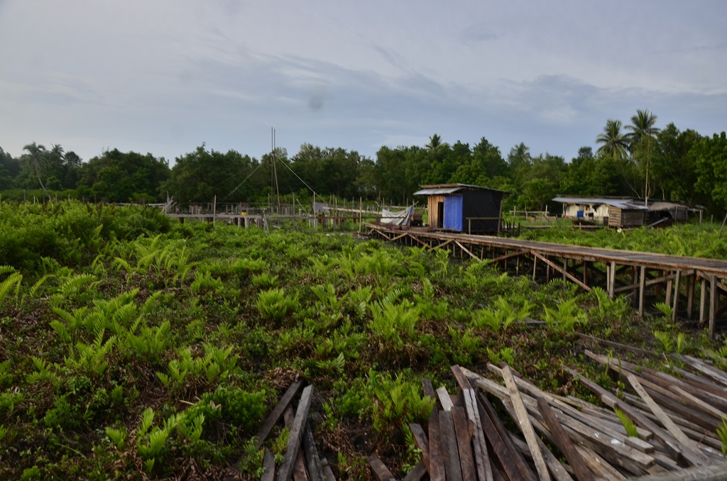 Kayu-kayu dari hutan, khususnya kayu merbau yang oleh warga disebut kayu besi, selain untuk pembangunan rumah juga digunakan sebagai bahan pembuatan jalan gantung. Foto: Wahyu Chandra