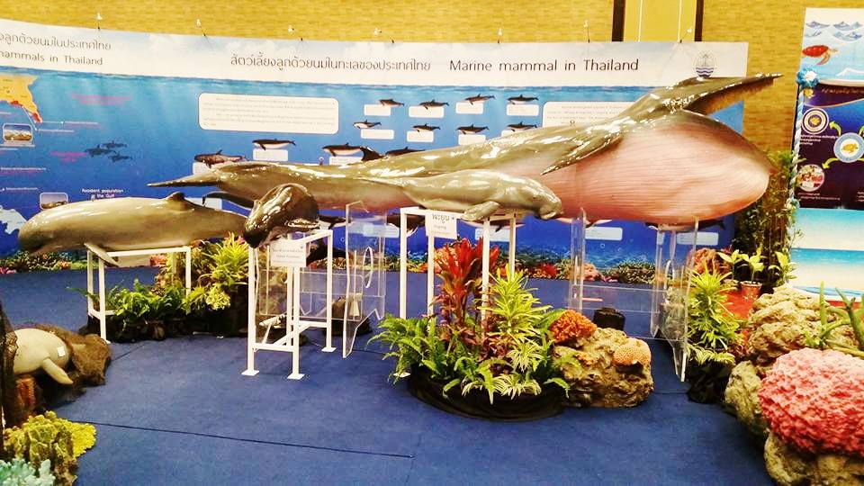 Salah satu pojok pameran dalam simposium dan workshop The 2nd Southeast Asian Marine Mammal Stranding Network (SEAMMSN) yang dilaksanakan di Pattaya, Thailand, pada 8 - 12 November 2016 lalu. Pertemuan bagi anggota jejaring mamalia laut terdampar di Asia Tenggara. Foto : Dwi Suprapti WWF-Indonesia