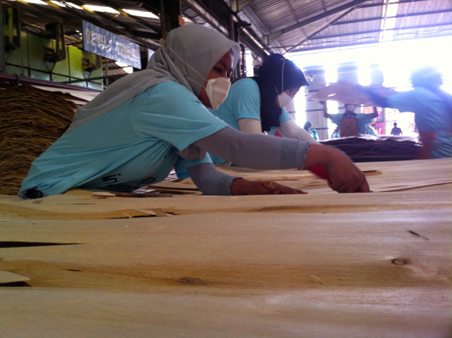 kayu-lisensi2-pekerja-pt-bbp-batang-jateng-memeriksa-lembaran-kayu-olahan-jenis-sengon