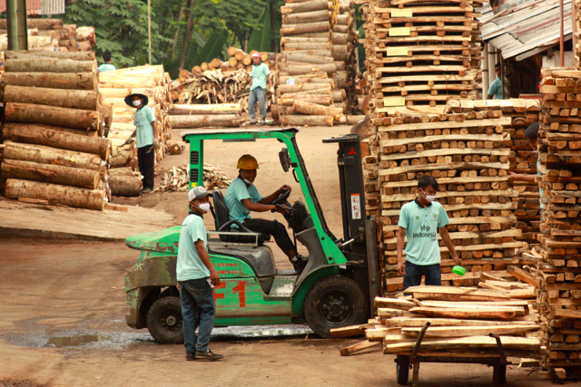 Karyawan BBP tengah beraktivitas di antara tumpukan kayu sengon. Perusahaan yang memasok kayu-kayu dari petani ini, mendapat kesempatan ekspor perdana menggunakan lisensi FLEGT ke Belgia. Foto: Nuswantoro