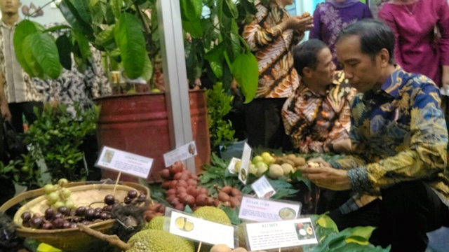 Presiden mengmati buah-buah lokal di ajang Fruit Indonesia 2016. Foto: Indra Nugraha