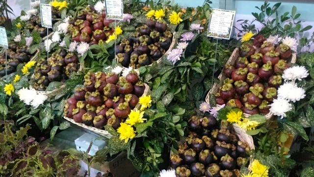 Manggis, salah satu buah lokal yang laris di pasar ekspor. Foto: Indra Nugraha