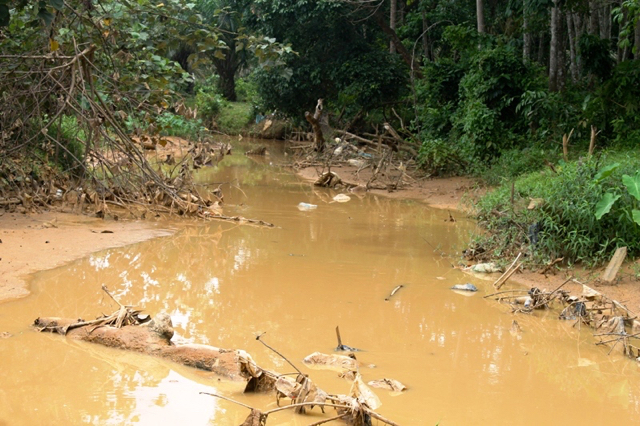Anak Sungai Batang Tabir, karena aktivitas dompeng di hulu. Foto: Elviza Diana
