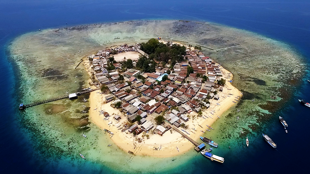 Pulau Badi di Kabupaten Pangkep, Sulsel menjadi salah satu lokasi kawasan transplantasi karang yang dilaksnakan oleh PT Mars Symbioscience Indonesia sejak 2011 lalu. Foto: PT Mars Symbioscience Indonesia