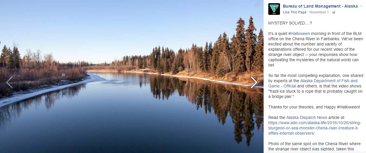 Penjelasan fenomena makhluk misterius yang tertangkap kamera. Sumber: Facebook Bureau of Land Management – Alaska