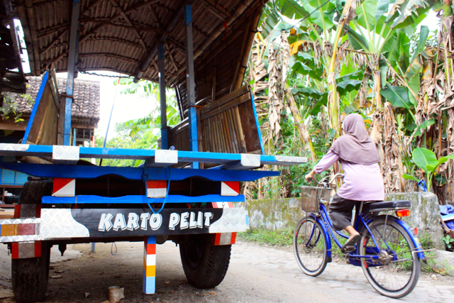 Gerobak sapi dan sepeda, dua angkutan bebas polusi. Foto: Nuswantoro