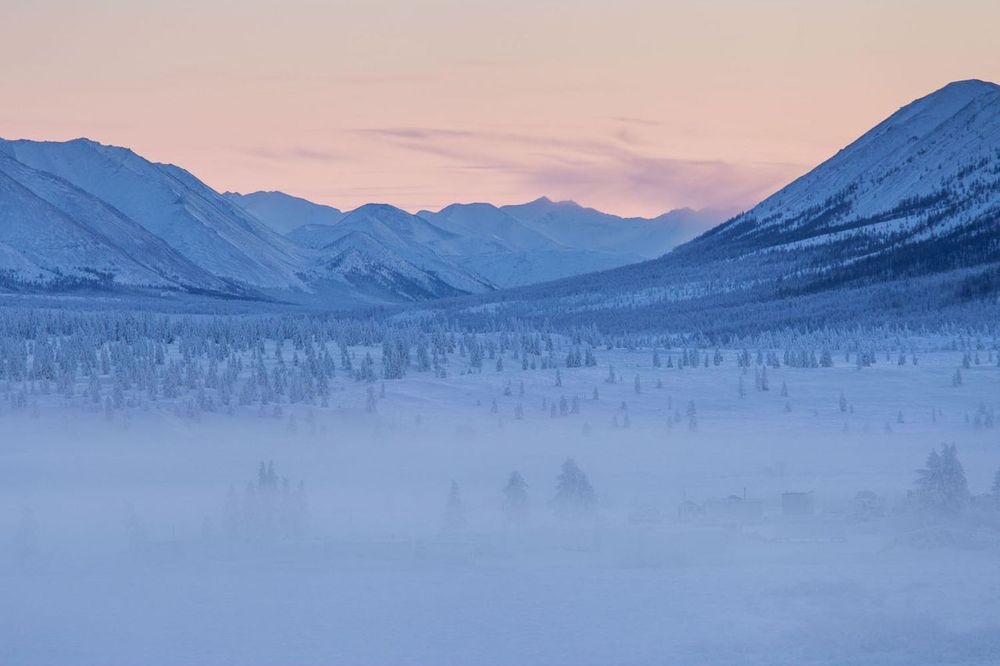 Hutan di Oymyakon yang tertutup salju dan kabut. Foto: Maarten Takens/flickr