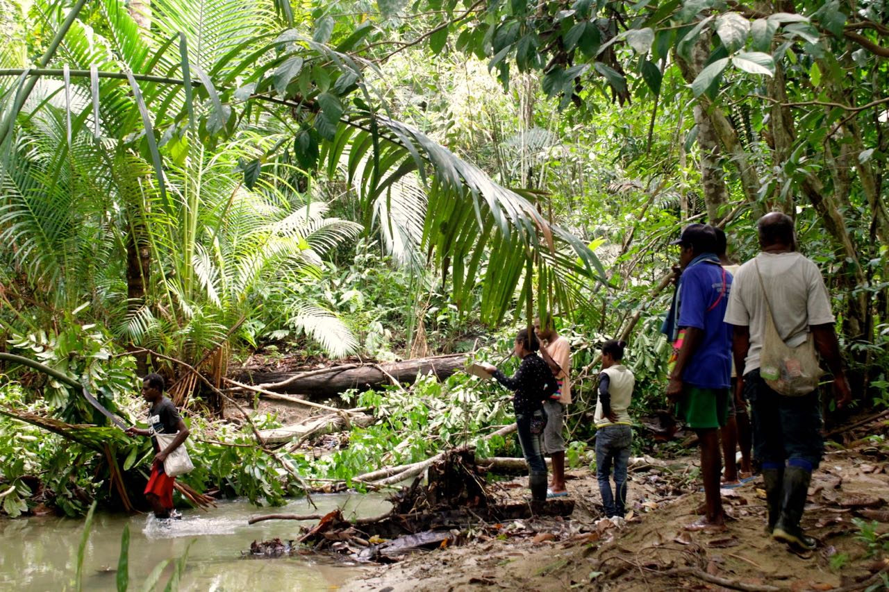 Masyarakat adat Swen Samon ketika melakukan pemetaan di dusun sagu. Foto: Christopel Paino