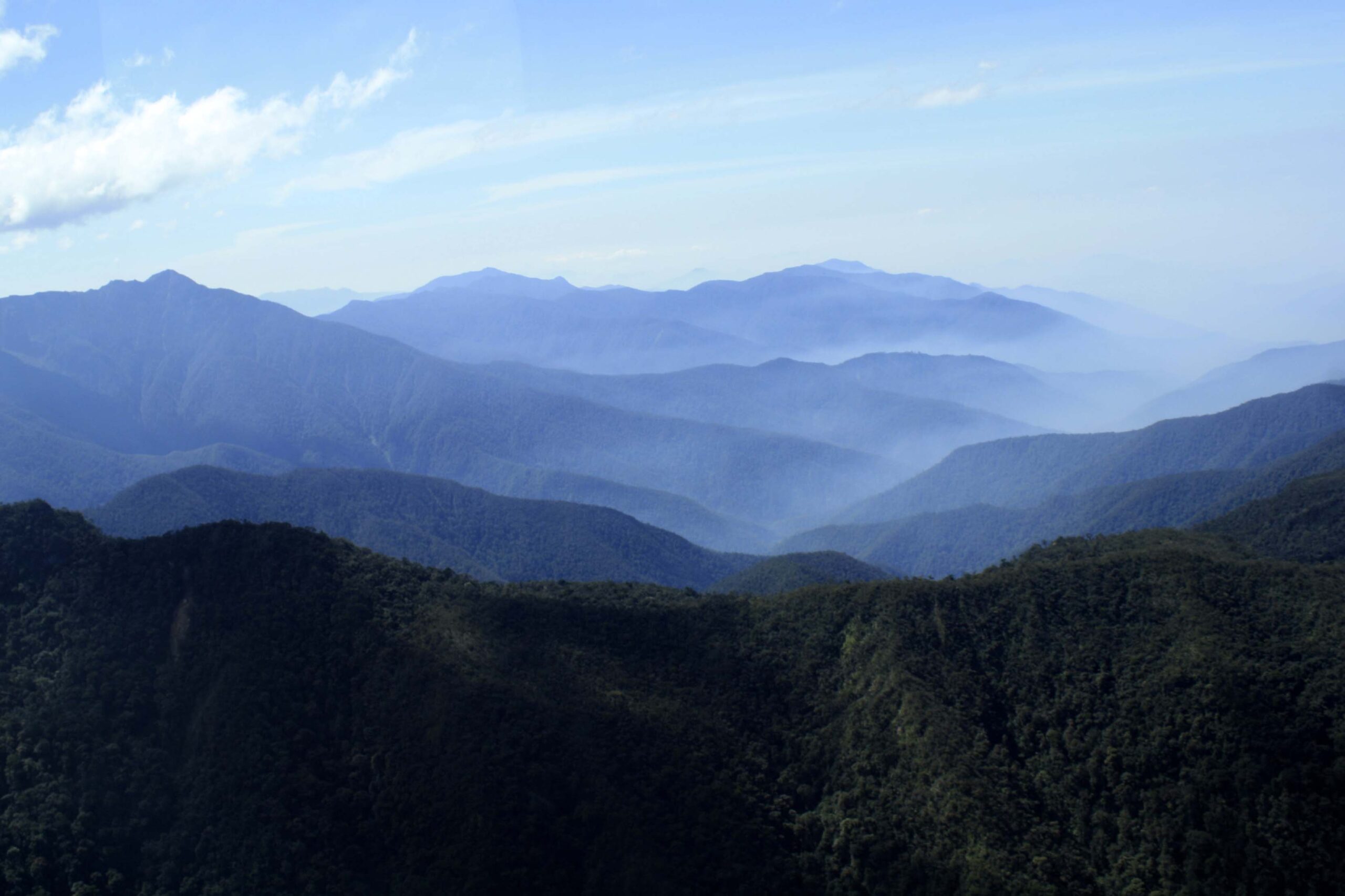 Hutan alami Aceh yang harus dijaga kelestariannya. Foto: Junaidi Hanafiah