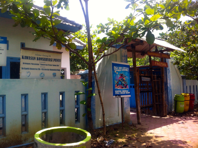 Konservasi Penyu Taman Ria. Foto: Nuswantoro