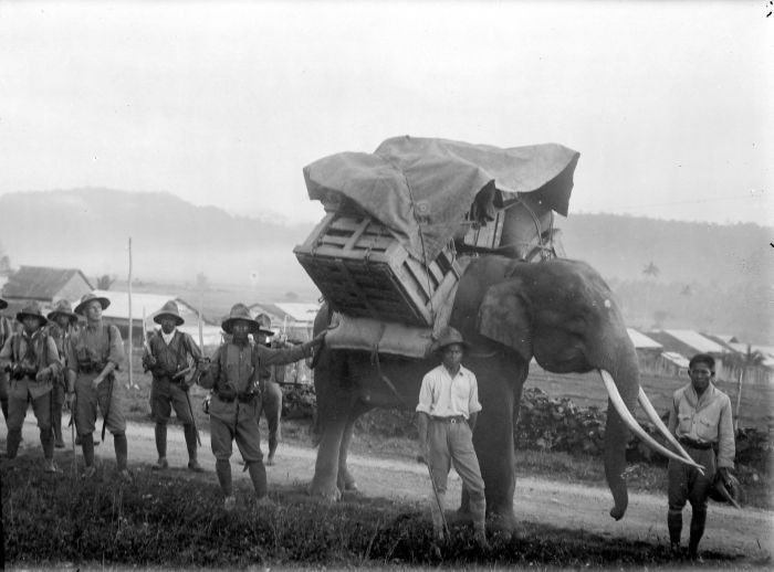 Sultan Iskandar Muda pada masa pemerintahannya begitu disegani karena memiliki Seribu Pasukan Gajah. Sumber: Tropenmuseum