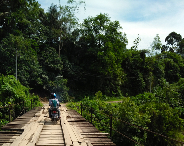 solok-tambang-emas2-jembatan-kayu-menuju-salah-satu-lokasi-tambang-emas-ilegal-foto-vinolia