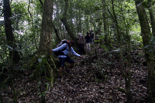 Perjalanan menuju puncak Seulawah Agam. Foto: Junaidi Hanafiah