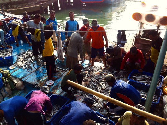 Nelayan Pacitan, dengan hasil tangkapan yang sudah berkurang drastis setelah PLTU beroperasi. Foto: Nuswantoro