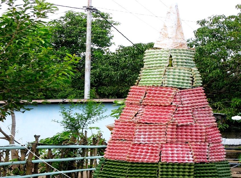 Pohon natal yang terbuat dari bekas rak tempat meletakan telur. Foto: Ebed de Rosary