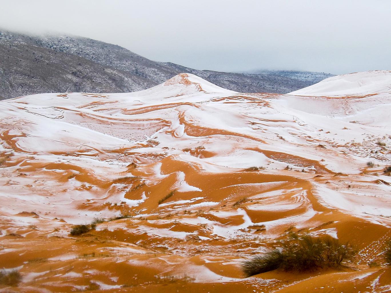 Salju turun di gurun pasir di dekat kota kecil Ain Sefra, Aljazair yang terletak di Pegunungan Atlas, di ujung utara gurun Sahara. Foto ; Karim Bouchetata/Geoff Robinson